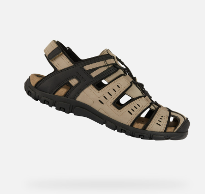 Geox: Il comfort che respira, la storia di un marchio italiano unico